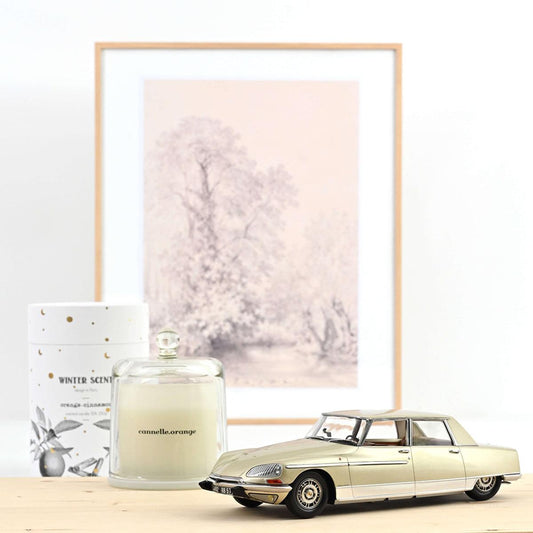 Norev Citroen DS 21 Lorraine 1969 Champagne 1:18 Modell
