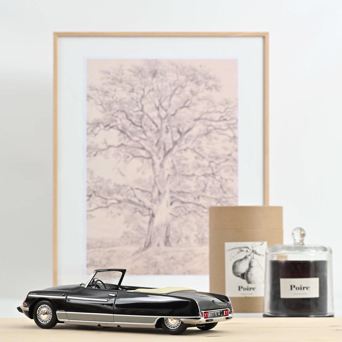 Norev Citroen DS 21 Palm Beach 1968 Black 1:18 Modell