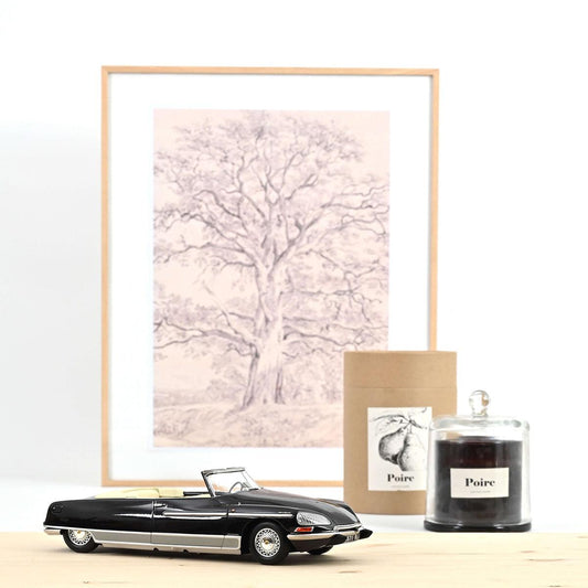 Norev Citroen DS 21 Palm Beach 1968 Black 1:18 Modell