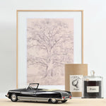 Norev Citroen DS 21 Palm Beach 1968 Black 1:18 model