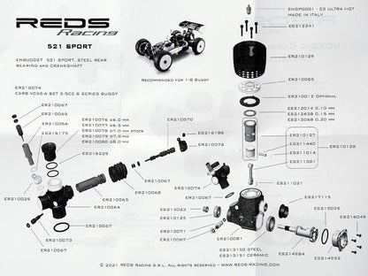 REDS Racing Buggy 521 Sport RC Nitro Motor tuned by Mario Rossi
