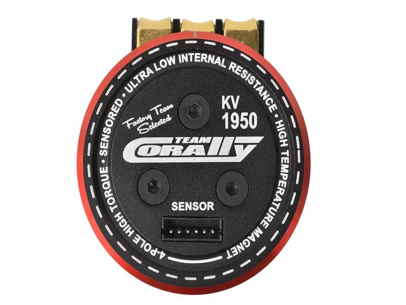 Team Corally Pista 805 - Sensored - 4-Pole - 1950KV Artexio