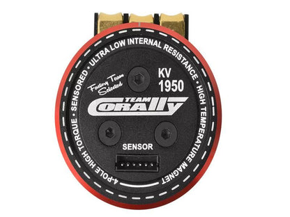 Team Corally Pista 805 - Sensored - 4-Pole - 1950KV Artexio