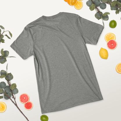 Kurzärmeliges Tri-Blend T-Shirt "Phoenix"